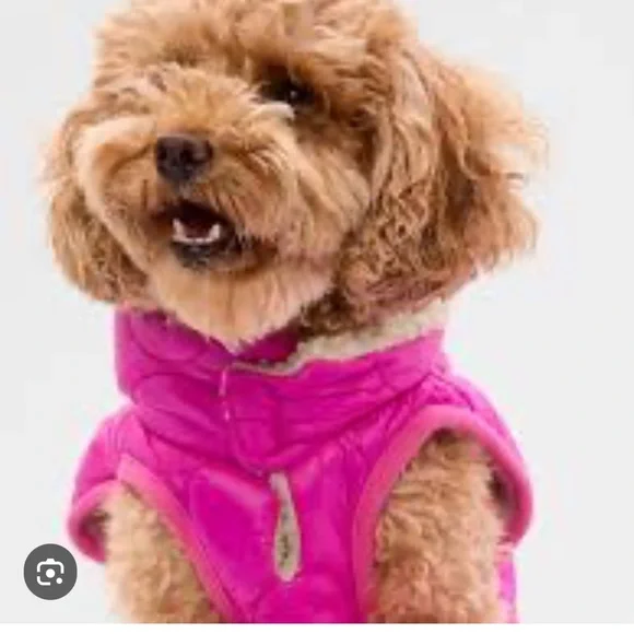 GAP Quilted Dog Puffer Jacket - Picture 6 of 6